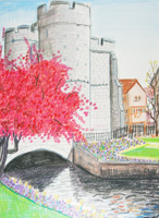 canterbury